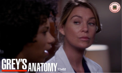 Grey's Anatomy 11x02